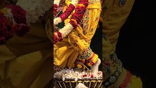 Jay shree krishna 🚩🙏🏻🚩#shorts #vrindavan #video #radhakrishna #bhajan #vrindavan  #viralshorts