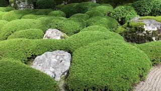 京都 知恩院の方丈庭園　　Zen  Gardens　in    Japan　想い出セレクション