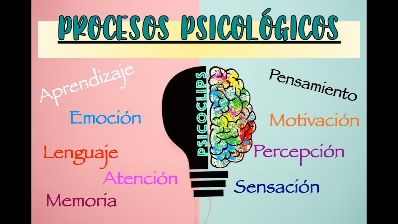 Procesos Psicológicos | ¿Qué Es? ¿Cómo Funcionan? Ejemplo...(Resumen ...