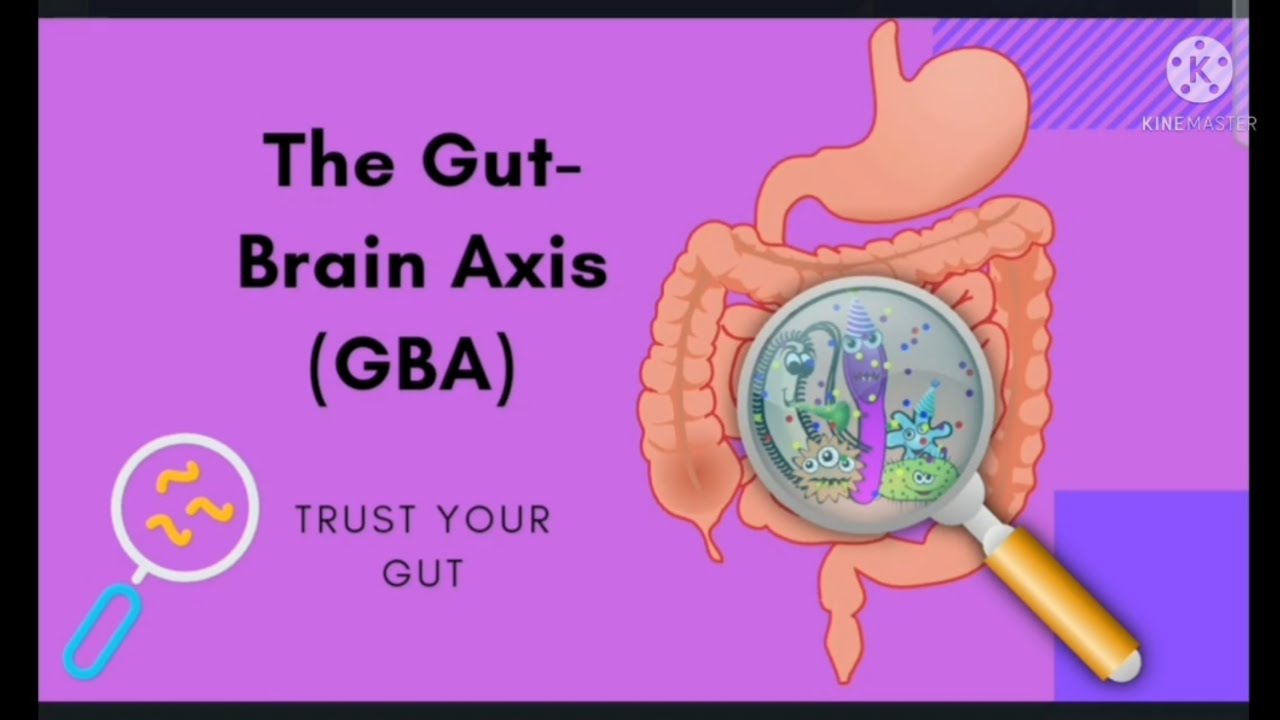 The Gut And Brain Connection - YouTube