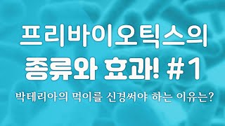 [위장관] 프리바이오틱스의 종류와 효과 #1