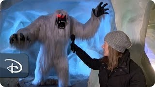 The Abominable Snowman Inside the Matterhorn | Disneyland Resort