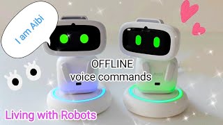 AIBI pocket pet OFFLINE voice commands #new #aibi #airobot #ai #livingai #newupdate #robot #pet #fun