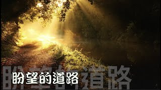 盼望的道路