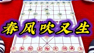 象棋：春风吹又生