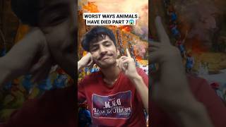 Worst Ways Animals Have Died - Part 7 | Rapid History