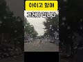 아이고 할매 shorts ㅣ블랙박스