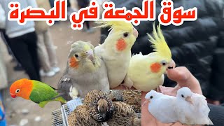 سوق الجمعة في البصرة سوق الطيور مع تحياتي للجميع#أحمد_مهدي