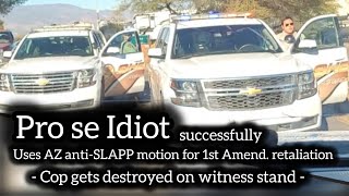 Pro se Idiot uses AZ anti-SLAPP to get criminal charges dismissed