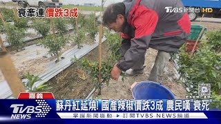 農民好衰! 受「蘇丹紅」牽連 國產辣椒價格大跌三成｜TVBS新聞 @TVBSNEWS01