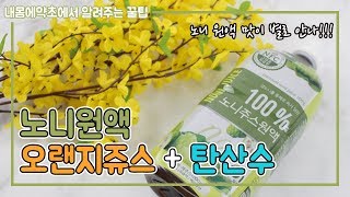 노니주스 맛 노니원액 맛있게 먹는 방법