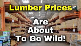 Lumber Prices Are About to Go Wild! What You Need to Know About What's Coming in 2025!!