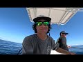 offshore fishing with giant baits in jupiter fl