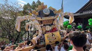 【2022 荒川神社 本宮】中地屋台 階段登り