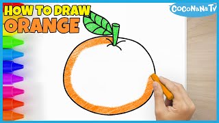 Orange - How to draw - coconanatv