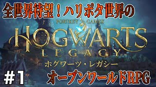 #1【ホグワーツ・レガシー】全世界待望のハリポタオープンワールドRPG!!　実況プレイ　#ホグワーツレガシー  #ハリーポッター #ハリポタ #ゲーム実況