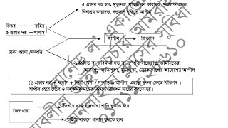 টেকনিকে ফৌজদারি আপিল রিভিশন জেনে রাখা ভালো | ফৌজদারি কার্যবিধি ১৮৯৮ | Code of Criminal procedure|