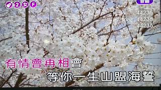 卡拉【心肝跟你飛】( 詞-邱宏瀛 曲-黃明洲\u0026吳舜華 ) 女調減五F