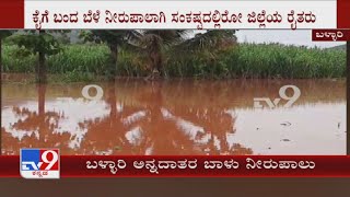 Heavy Rain Destroys Massive Crops In Ballari, Karnataka