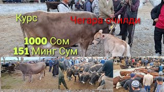 Баткен  Халмион мол бозори нархлари Чегара очилди