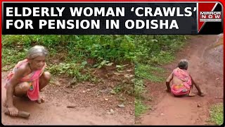 Odisha: 80-Year-Old Woman Crawls To Collect Pension; Video Leaves Government In Question | News