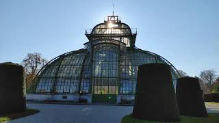 Sonnenuntergang hinter dem Palmenhaus Schloss Park Schönbrunn Herbst Laub. Vienna Walk Austria