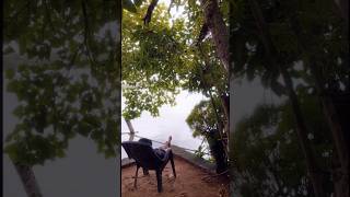 lake view resort kerala #travel #travelblog #capcut #nature #vlog #kerala