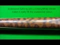 World Cue Sports God Series Snooker Cue Zeus