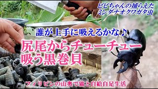 さぁ吸うのよ！フィリピン人みんな大好き！お尻から吸いとって食べる黒巻貝【フィリピンの山奥で猫と自給自足生活】