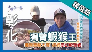 台灣第一等【獨臂黑龍大哥 捕捉夢幻軟殼蝦猴】彰化_精選版