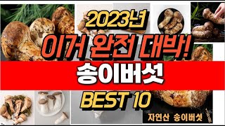 2023년 잘나가는 송이버섯  추천순위 TOP10