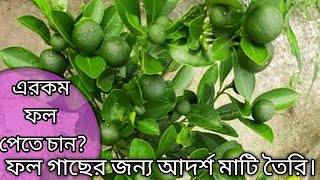 যে কোন ফল গাছের জন্য উপযুক্ত মাটি তৈরি | Prepare Best soil for any fruit trees