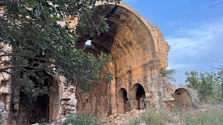 Exploring an overgrown Byzantine cemetery
