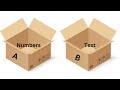 Python Variables Explained: Beginner's Guide to Understanding Variables | Video 2 |