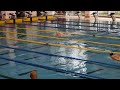 susret reprezentacija srb slo hrv bih 2017 banja luka 4x100 muska stafeta seniori