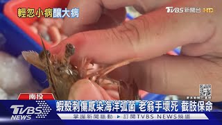 蝦殼刺傷感染海洋弧菌 老翁手壞死 截肢保命｜TVBS新聞