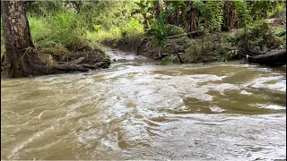 ත්‍රිපිටකය෴මහා පරිනිබ්බාන සූත්‍රය#කකුත්ථා නදිය#බුදුන් වහන්සේ ට පැන් පිපාස ඇති වූ ස්ථානය.