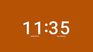 Burnt Orange 19 Minute Countdown Timer - Silent