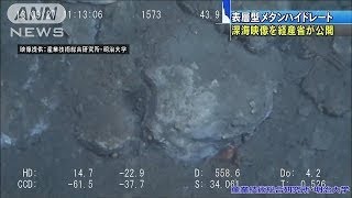 新潟県沖でメタンハイドレート確認　映像を公開(13/11/30)