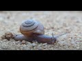 Phillip Burton Wilderness (Point Reyes National Seashore): Land in Motion