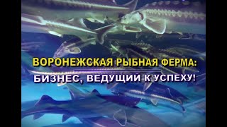 Обзор УЗВ в Воронеже. Бизнес, ведущий к успеху | Akva Ferma