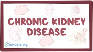 Chronic kidney disease - causes, symptoms, diagnosis, treatment, pathology