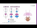 立體影像之取像構成要件與基本原理 單元1 1 立體與3d資料