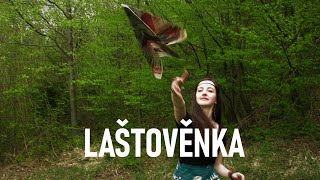 Clubovna session no.6: LAŠTOVĚNKA - M a rie