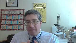Treatment Options for Systemic Mastocytosis