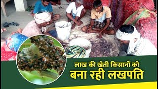 लाख की खेती और फ़ायदे | Lac cultivation and its benefits to farmer | lac product making