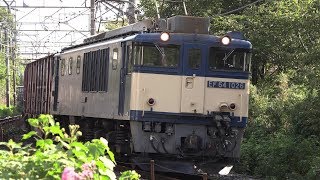 【4K】東海道本線貨物列車(早川～根府川間）(2019年9月27日)