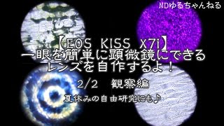 【EOS KISS X7i】一眼を簡単に顕微鏡にできるレンズを自作するよ！ 2/2観察編 夏休みの自由研究にも♪　ゆるch111