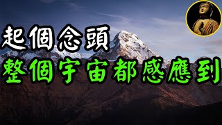 【佛法無邊】起個念頭，整個宇宙都感應到