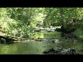 gentle summer serenity relaxation or meditation with nature sounds 4k sleep relax study focus